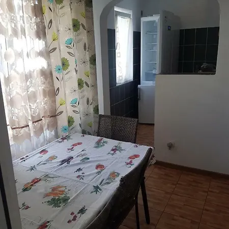 Albatros Mangalia