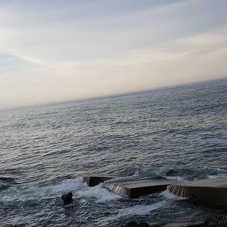 Albatros *